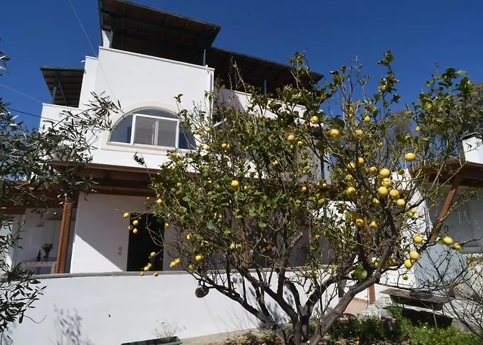 Apartment Bernie House Melanes